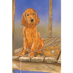 Breed Specific Note Cards (H-O)