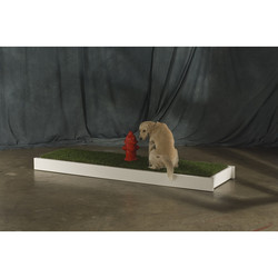 2x8 XL Slim PETaPOTTY Unit