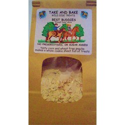 Horse Best Buddies - 16 oz.