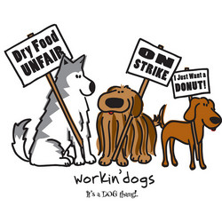 Men's Workin' Dogs