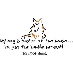 My Dog Master of the House