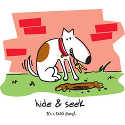Women's Hide and Seek