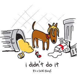 Women's I Didn't Do It
