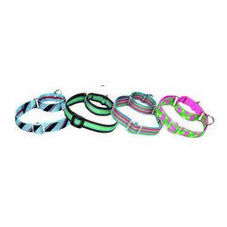 Patterned Nylon Combo Martingale