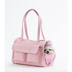 Convertible Airline Carrier