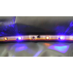 BEAR FLAG LIGHTED LED DOG LEASH
