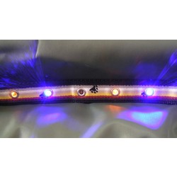 BEAR FLAG LIGHTED LED DOG COLLAR