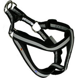 SPORTS REFLECTIVE STEP-IN LED LIGHTED DOG HARNESS - Adjustable