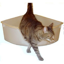 Catty Corner Single