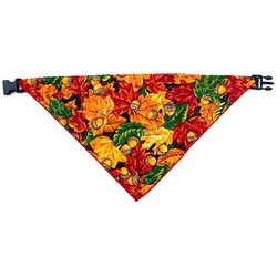 fall folige
