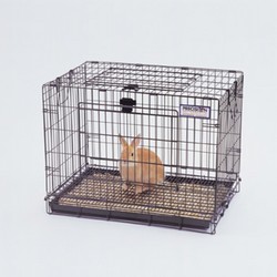 Rabbit Resort