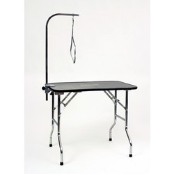 Professional Table w/AAC & Loop