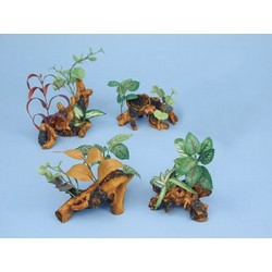 DRIFTWOOD GARDENS™