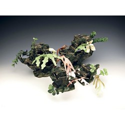 SUNKEN SHIP COLLECTION - Shipwreck