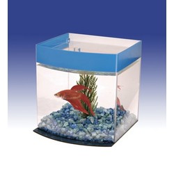 BETTA BOW-FRONT ACRYLIC CUBE TANK