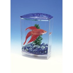 BETTA BOWL-FRONT TANK KITS