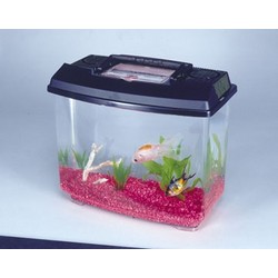 NEW WORLD HABITATS