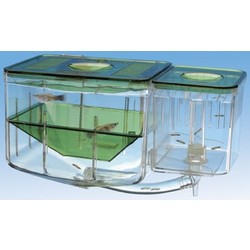 AQUA-NURSERY - Automatic Circulating Hatchery