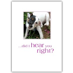 Birthday Card - Jack Head Tilt