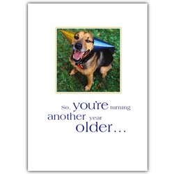 Birthday Card - Mutt w/ Birthday Hats