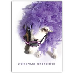 Birthday Card - Jack w/ Sunglasses