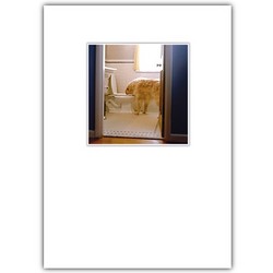 Birthday Card Golden & Toilet