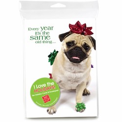 Consumer Friendly 10-pack - Pug Bows