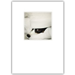 Love Card - Jack Hiding in Blanket