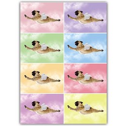 Miscellaneous Card - When pugs fly