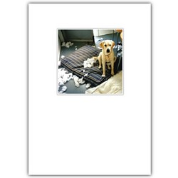 Miss You Card