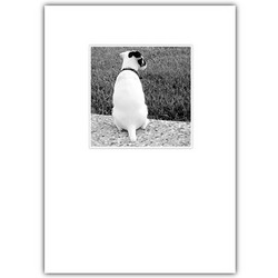 Sympathy Card
