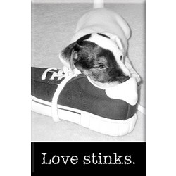 Love Stinks Metal Magnets