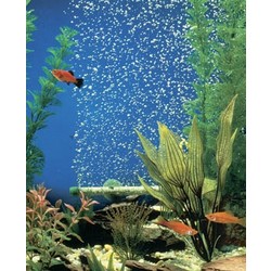 BUBBLE-WALL