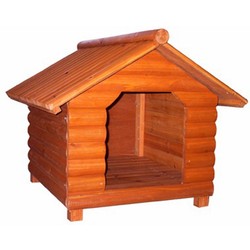 Log Home