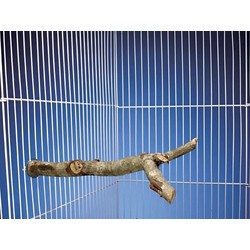 Natural Branch Perch