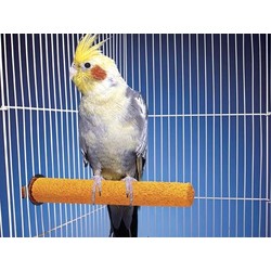 Trimmer-Perches