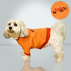 Halloween Sweatshirt