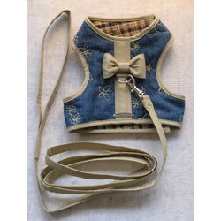 Nantucket Leash