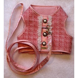 Coco Leash