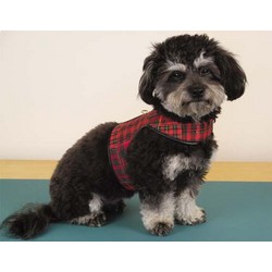 Country Christmas Harness
