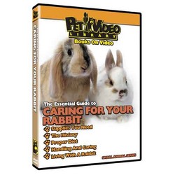 Caring for Your Rabbit