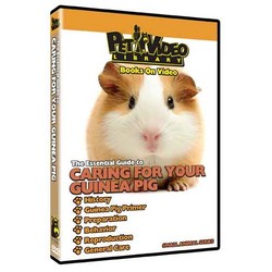 Caring for Your Guinea Pig