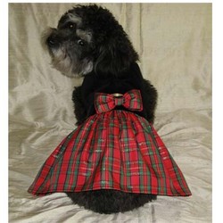 Holiday Cheer Dress