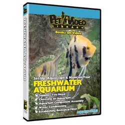 Set-Up Aquascape & Maintain Freshwater Aquarium