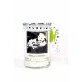 28oz Soy Blend Jar Candle - Juicy Apple: Dogs For the Home 