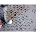 Purr-fect Paws Litter Mat<br>Item number: PP001