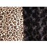 cheetah_w_black_curly.jpg