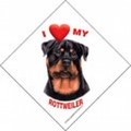 Auto Attitudes Car Signs with suction cup - 6 per case (Breeds R-Y): Dogs Products for Humans For the Car 