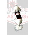 Welcome To Fabulous Las Vegas Dog Tank Top: Dogs Pet Apparel 