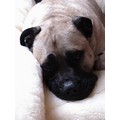Cuddle Mat (double-sided)